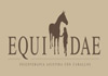 Equidae