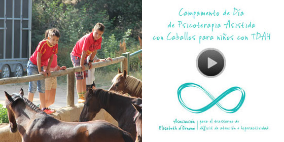 Vídeo Campamento PAC Equidae